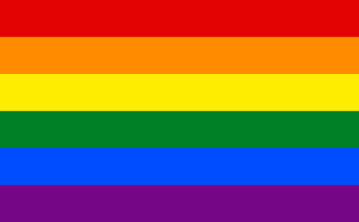 True Colors: Pride Flags and Their Meanings 23